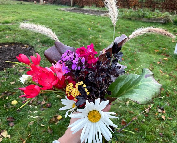 Flowers from the Garden in hand November 14