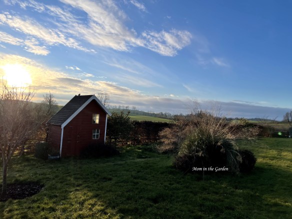 Afternoon sunlight on playhouse January