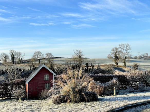 Sunny Frosty DAY view of playhouse