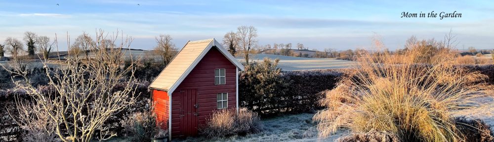 Winter scene of playhouse blue sky mid January
