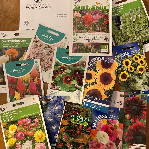 Irish Plants Direct seeds