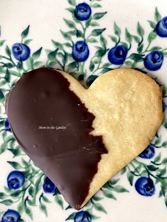 chocolate heart cookie