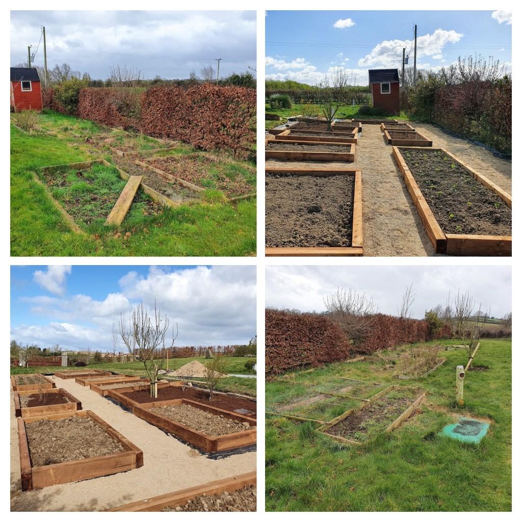 before and after pictures of garden project