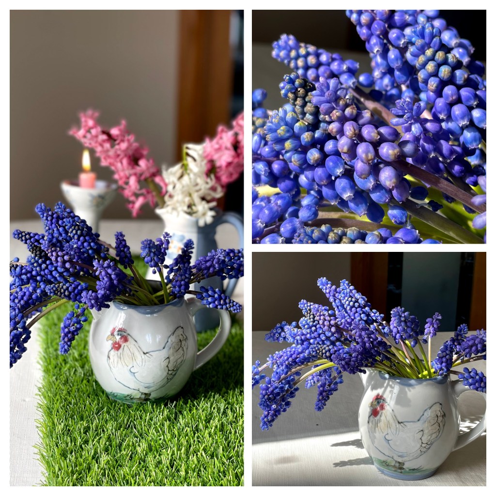 grape hyacinth flowers