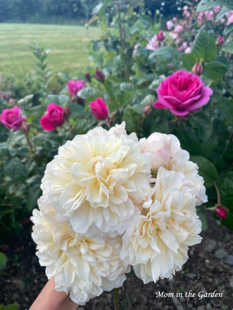 Lichfield angel hand bouquet