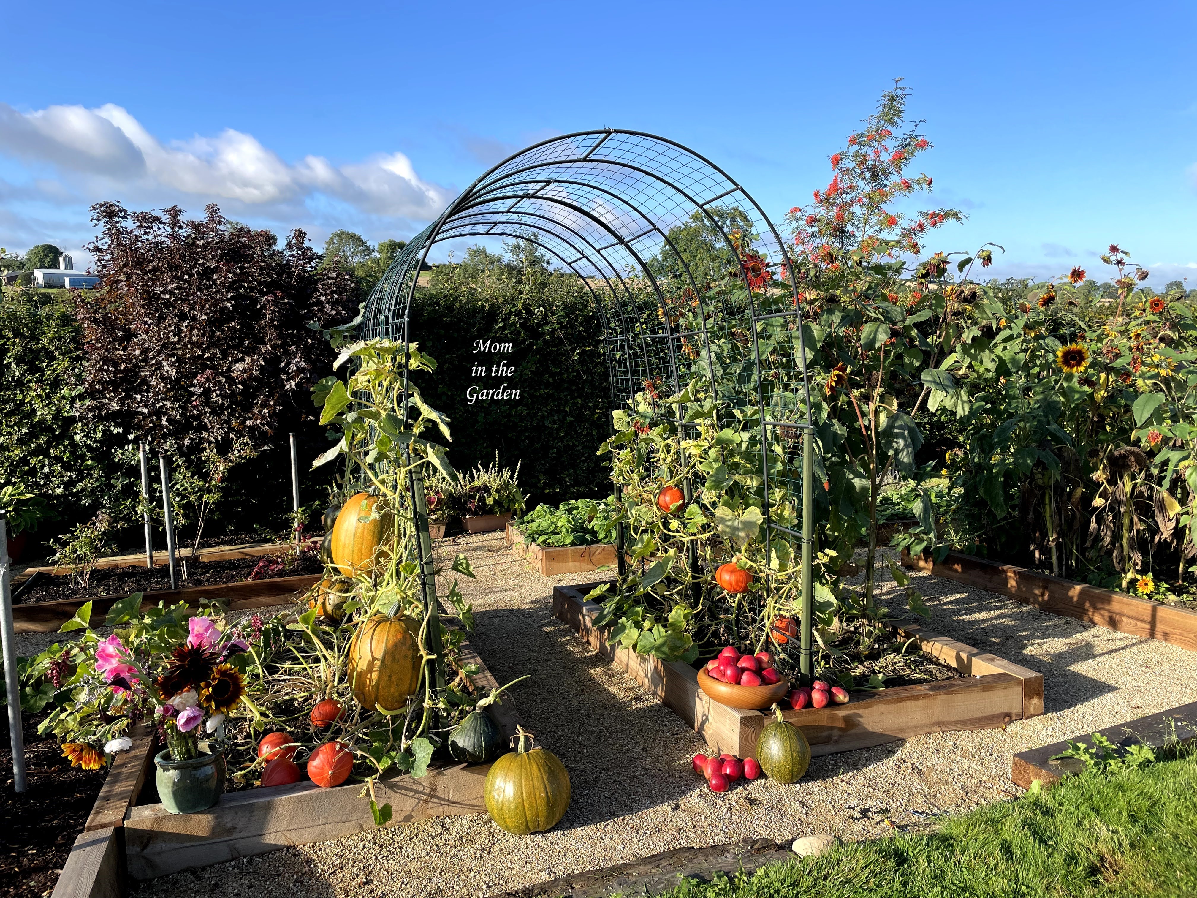 Pumpkin arch with apples and flowers