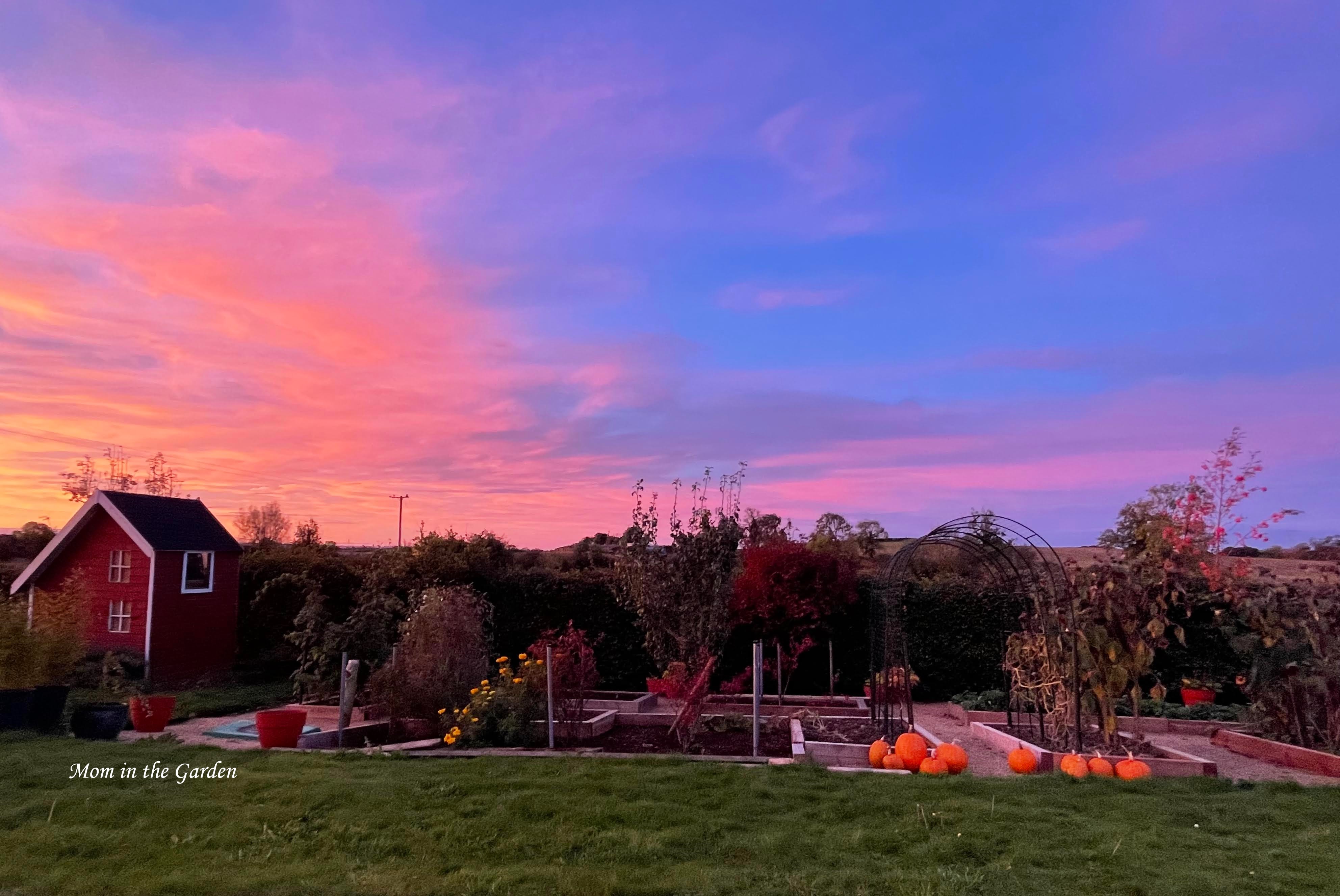 Sunrise blue and pink sky