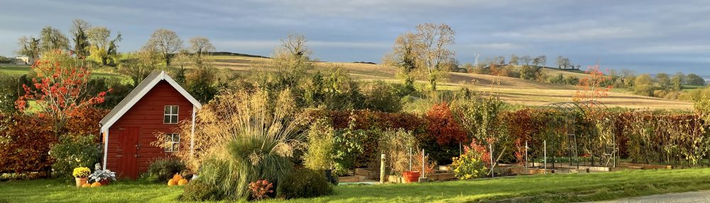 Fall garden view with playhouse