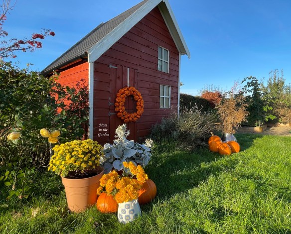 Fall vibes pic at playhouse with marigolds and pumpkins