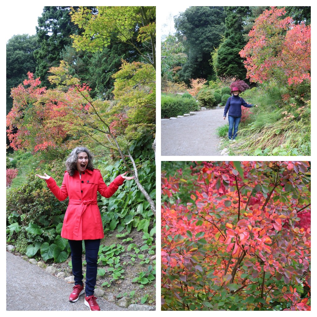 Japanese Garden at Powerscourt House and Gardens, Dana and Susan