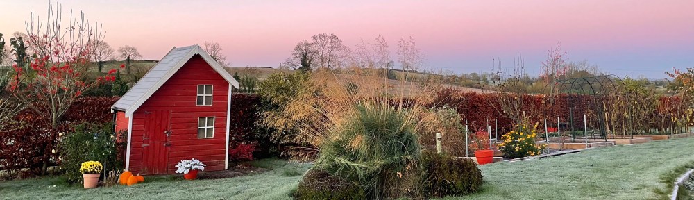 Garden view with playhouse at sunset