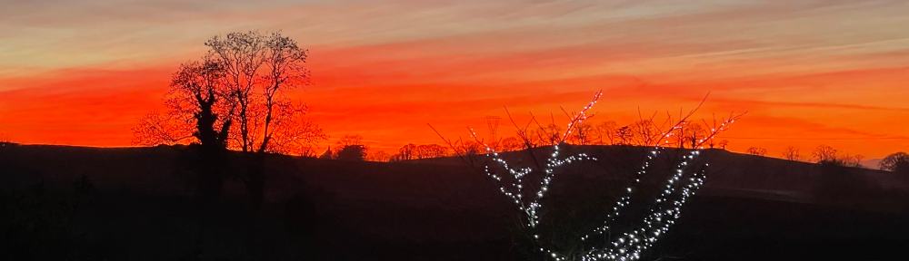 sunset with Christmas lights