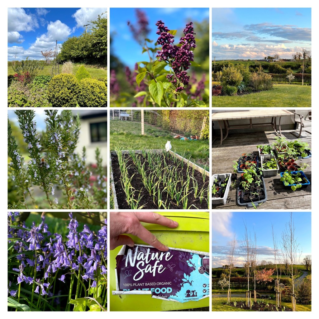 May collage of blue bells, garlic, rosemary, lilacs and potted plants