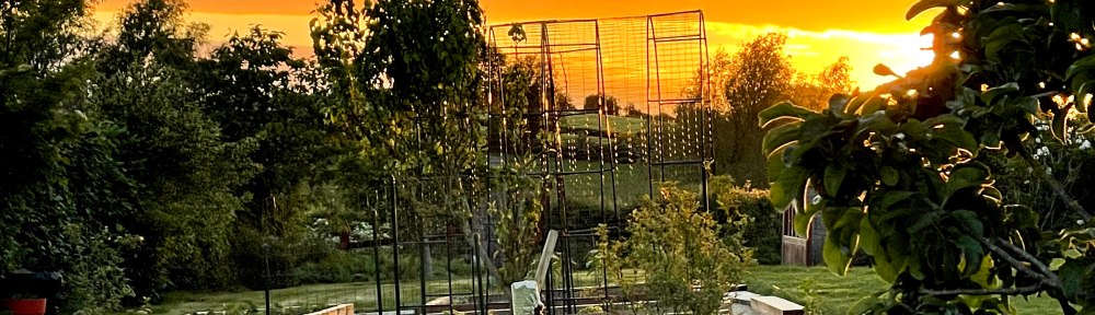 June 5, 2021 sunset in new garden