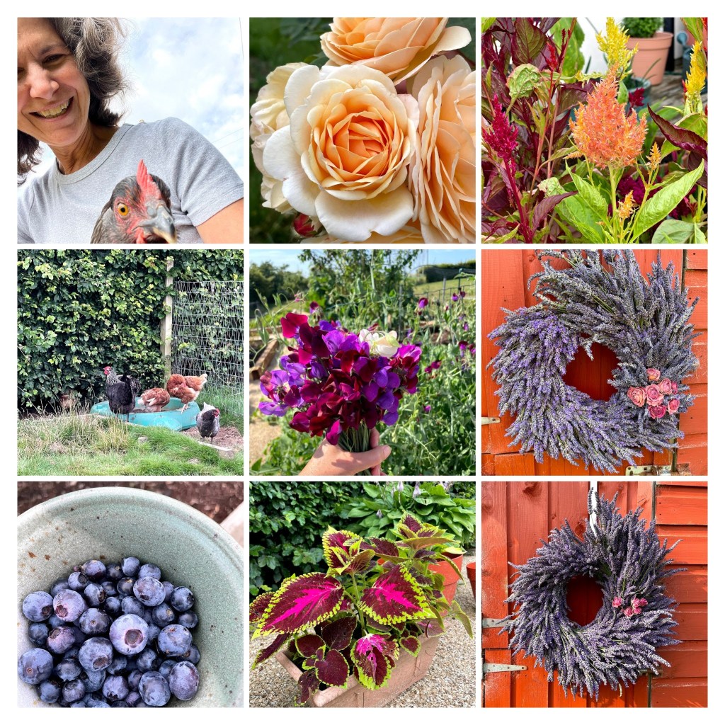 July collage of flowers: roses, sweet pea, lavender wreaths, blueberries