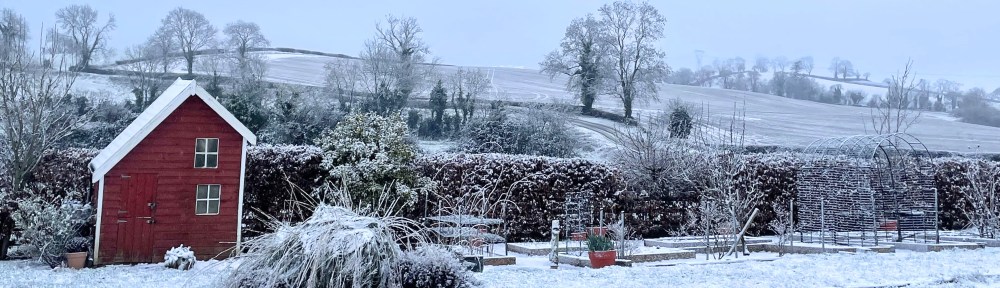 February 2022 garden covered in snow.