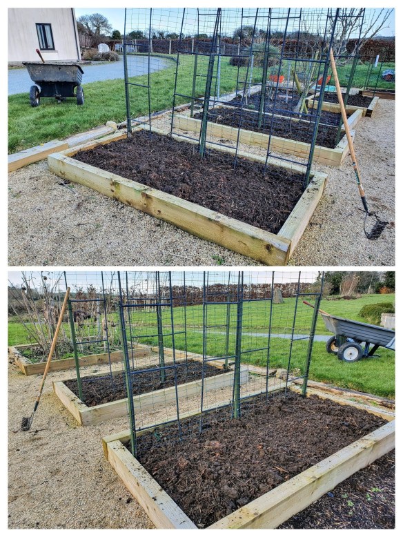spreading of compost in raised beds