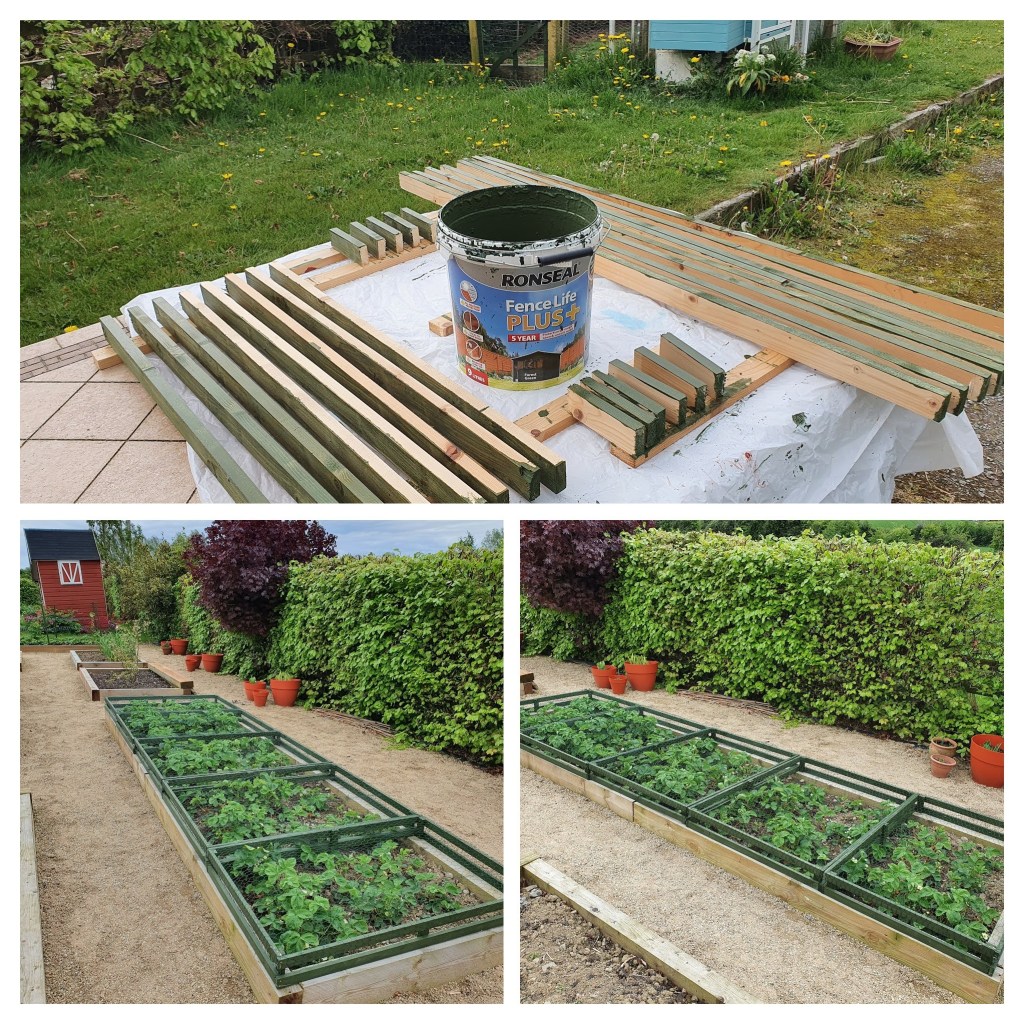 collage of strawberry bed covers