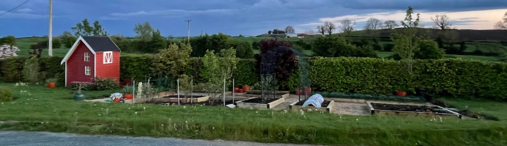 view of full garden at dusk