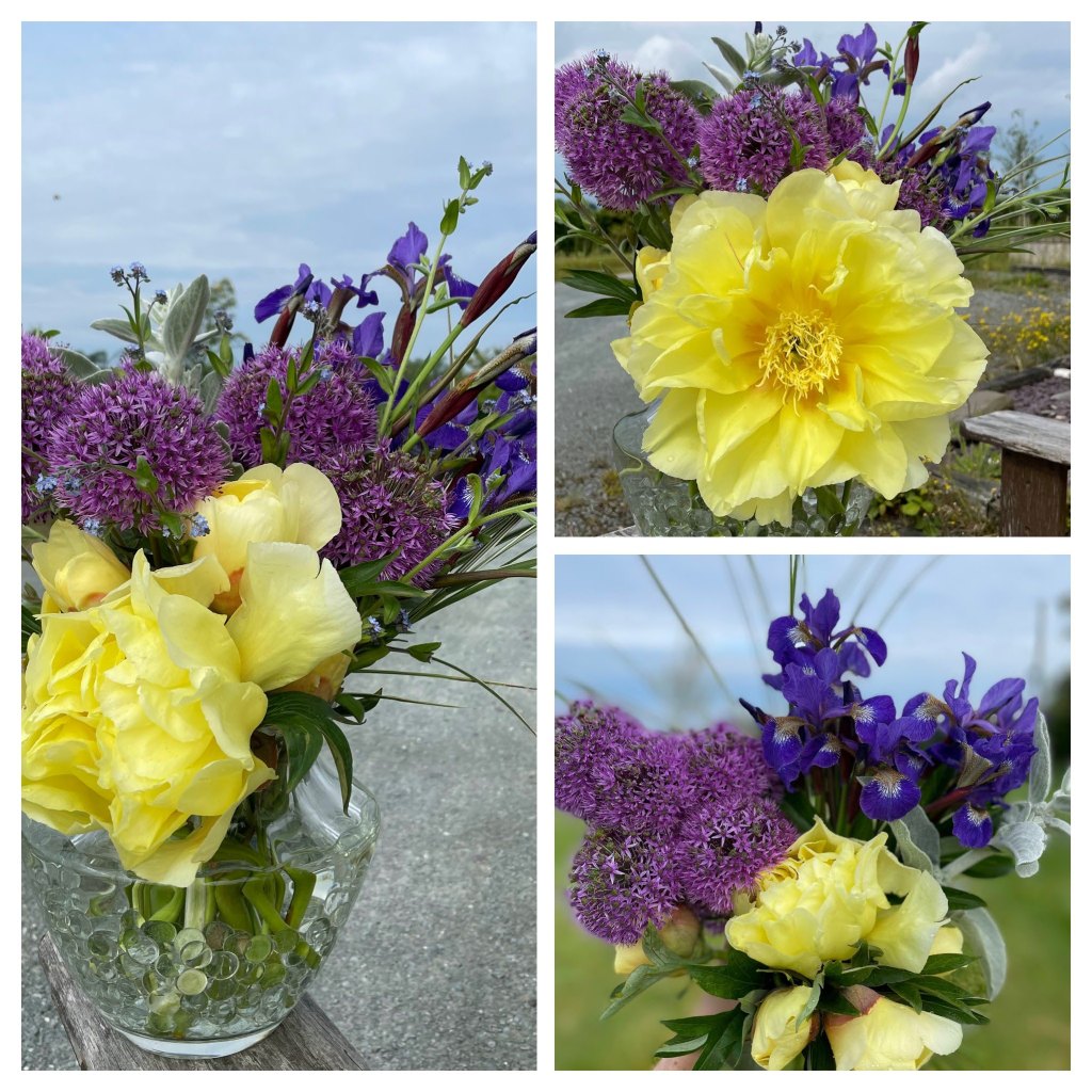 Bartzella Itoh peony arrangement with allium and Siberian iris