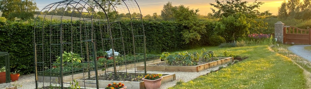 view of garden at sunset