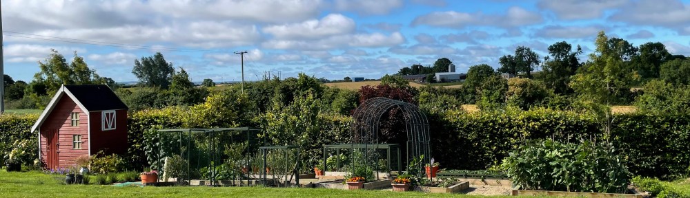 full view of raised beds with playhouse