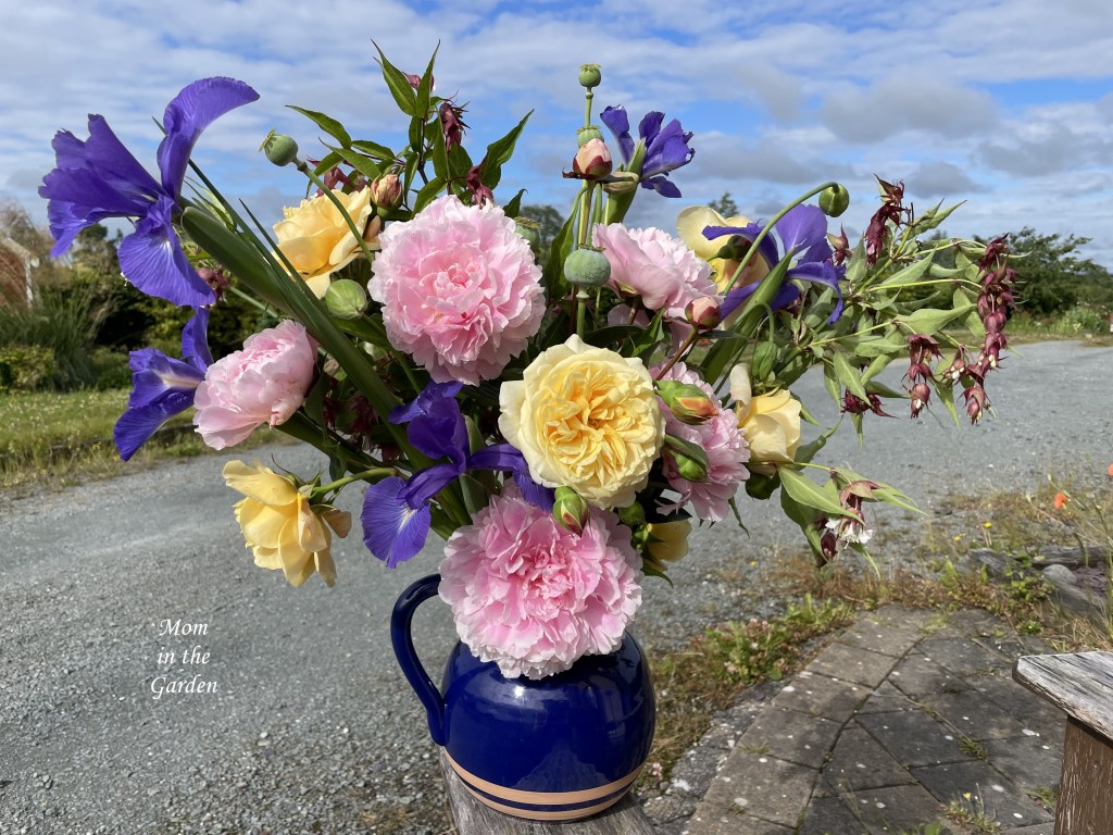 iris, peony, rose arrangement outside