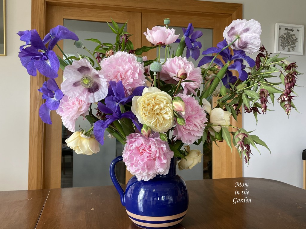 Iris peony rose open poppy flower arrangement inside