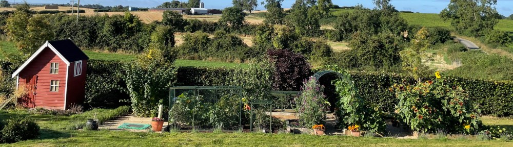 full view of the garden with playhouse and flower arch