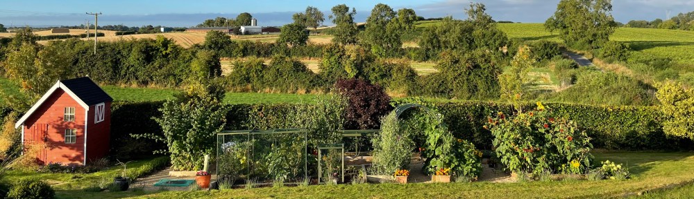 overhead view of the garden near the playhouse