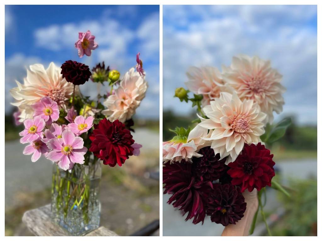 arrangement with dahlias and Japanese anemone