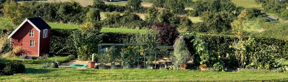 full view of the garden in sun