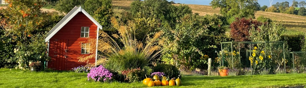 view of garden with asters and pumpkins