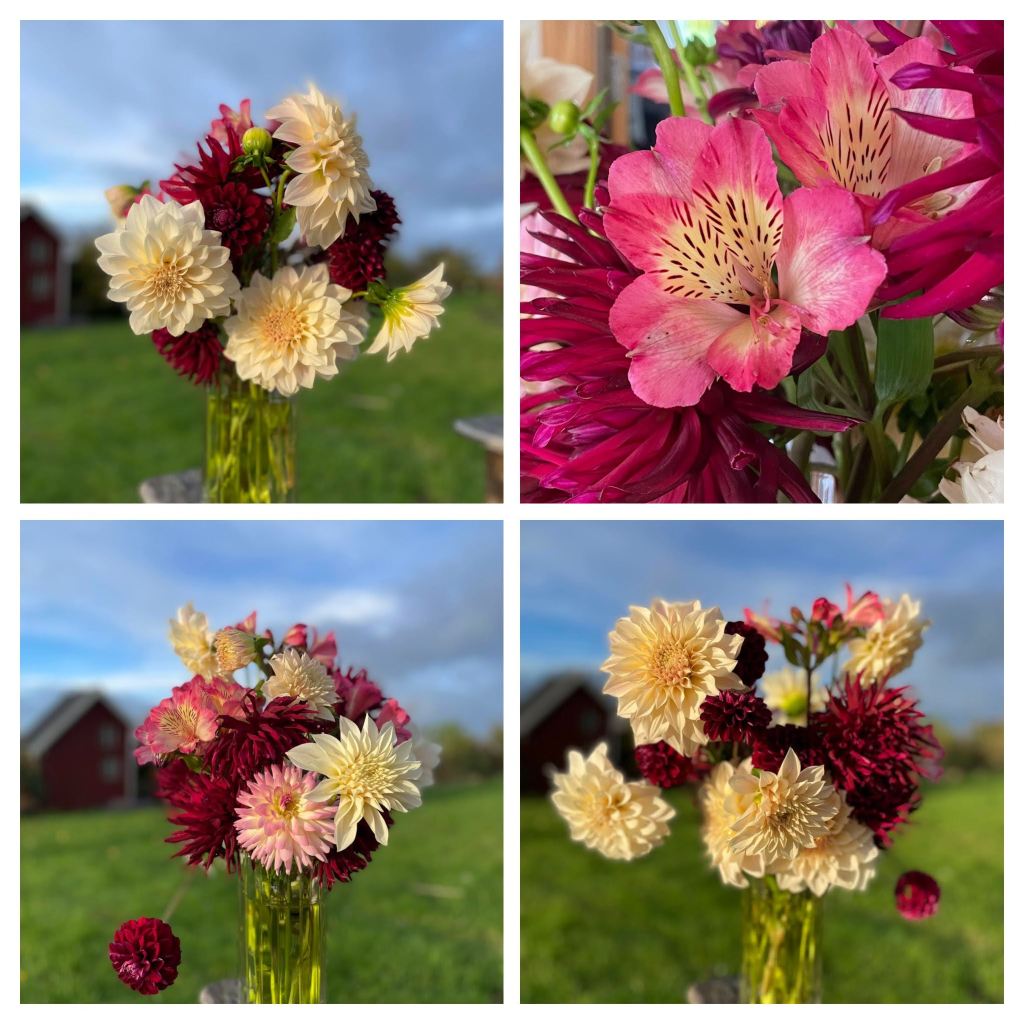 dahlias and alstroemeria bouquet
