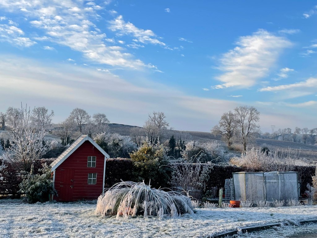 Hard Frost view of the garden
