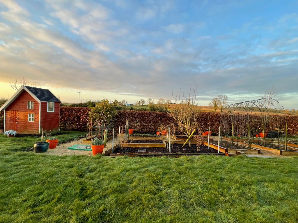 February view of the raised beds garden