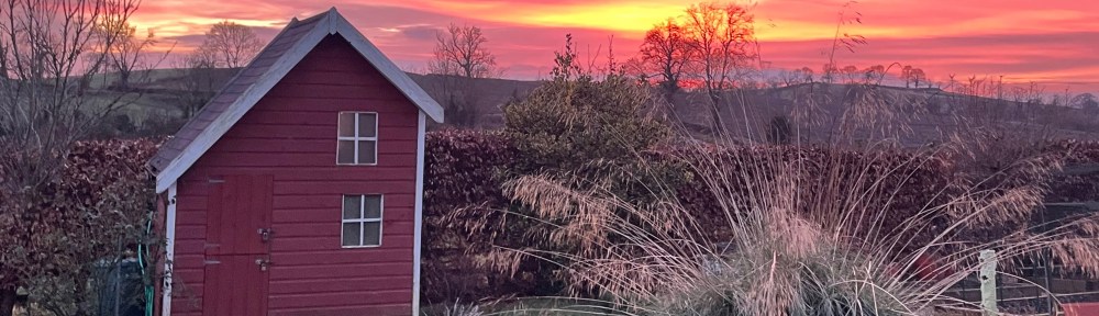 Sunset with purples, yellow and oranges over the playhouse garden