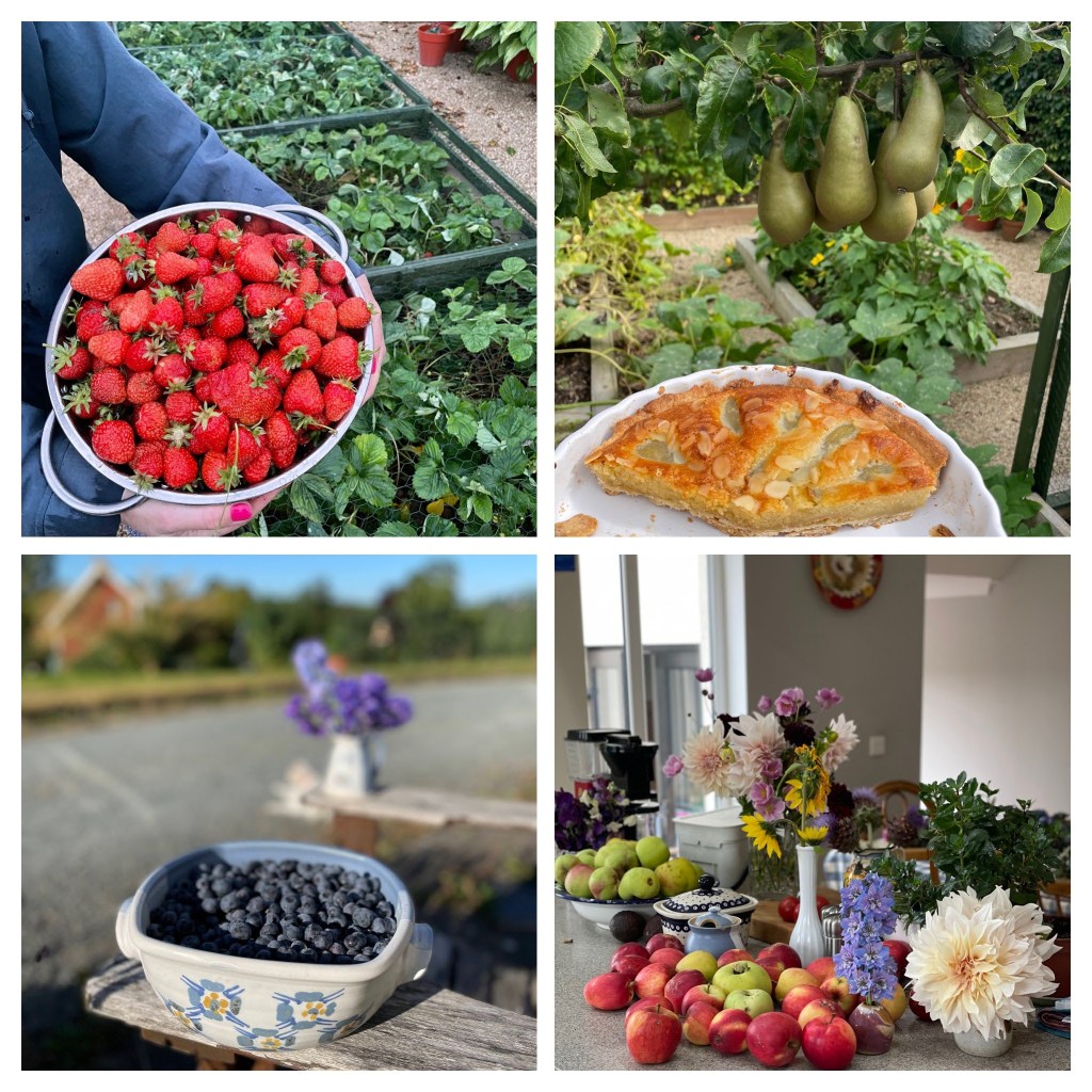 collage of fruit from the garden including strawberries, blueberries, pears and apples
