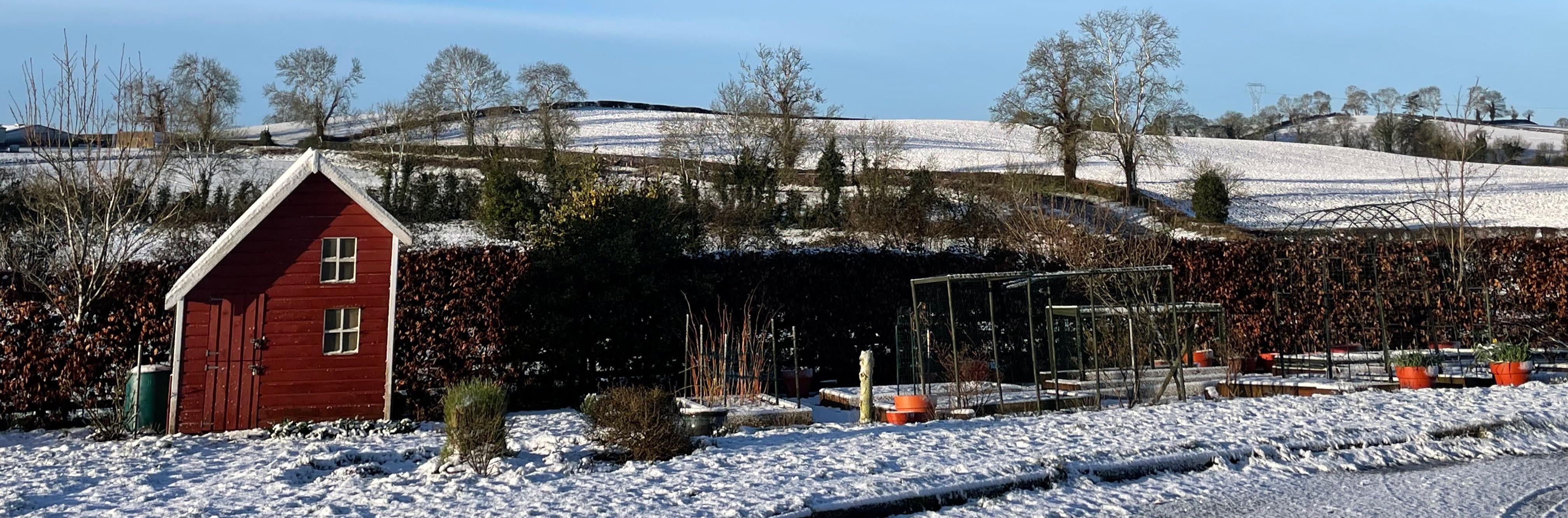 snowy view of the garden with playhouse