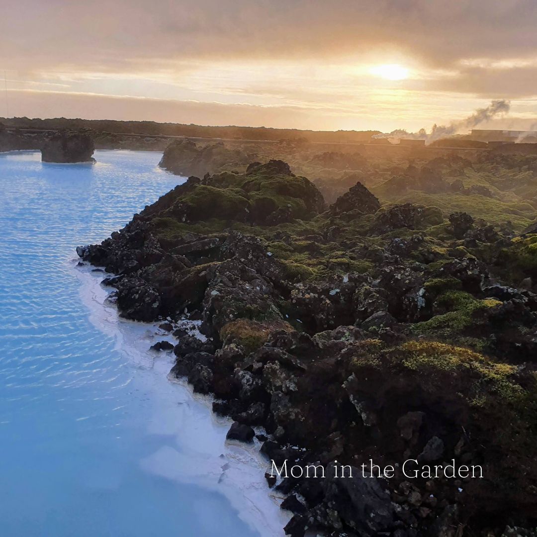 view of the landscape and lagoon at Silica hotel