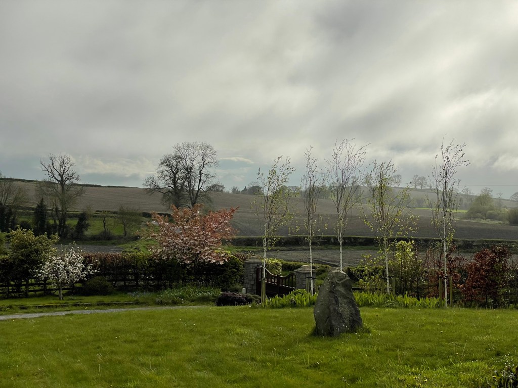 View of the apple, cherry and birch trees with a cloudy sky