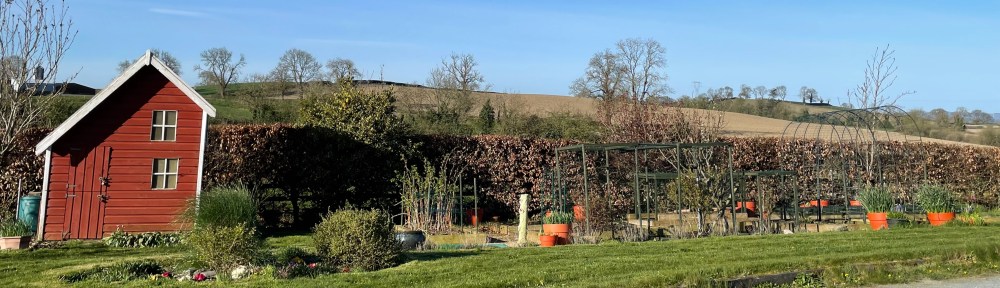 view of garden with playhouse