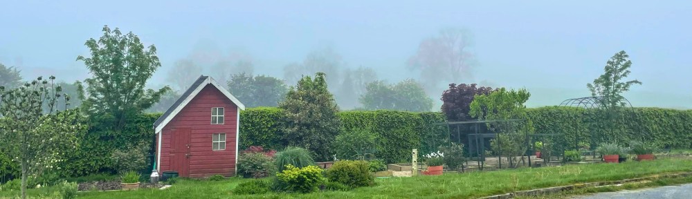 foggy view of garden brightened