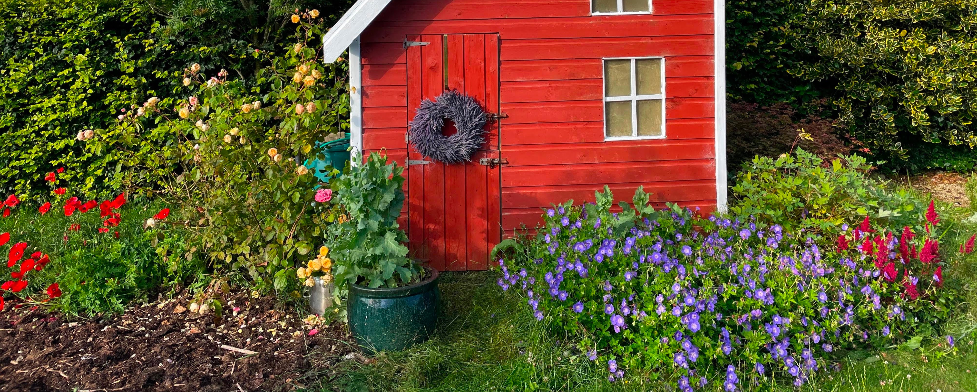 Red playhouse with lavender wreath on front door and purple geranium.