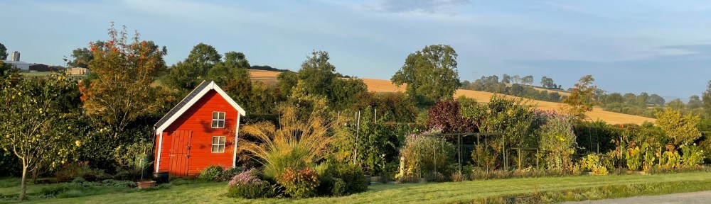 Mid-September view of the garden
