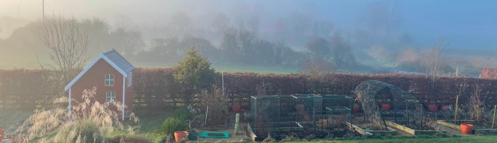 Foggy view of the garden and playhouse with view from above